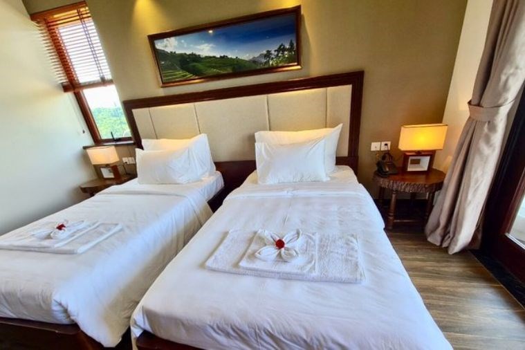 Spacious Deluxe Mountain View